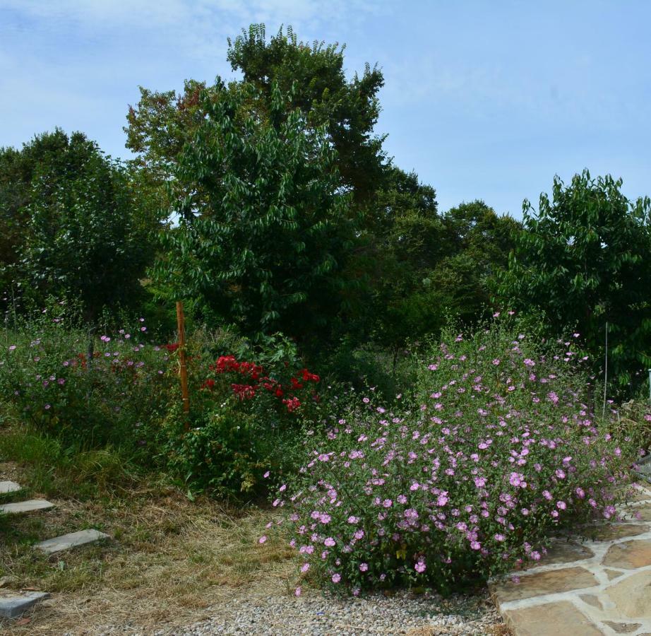 Casale Dionisia, Santa Maria Di Castellabate, Appartamento Iris Exterior photo